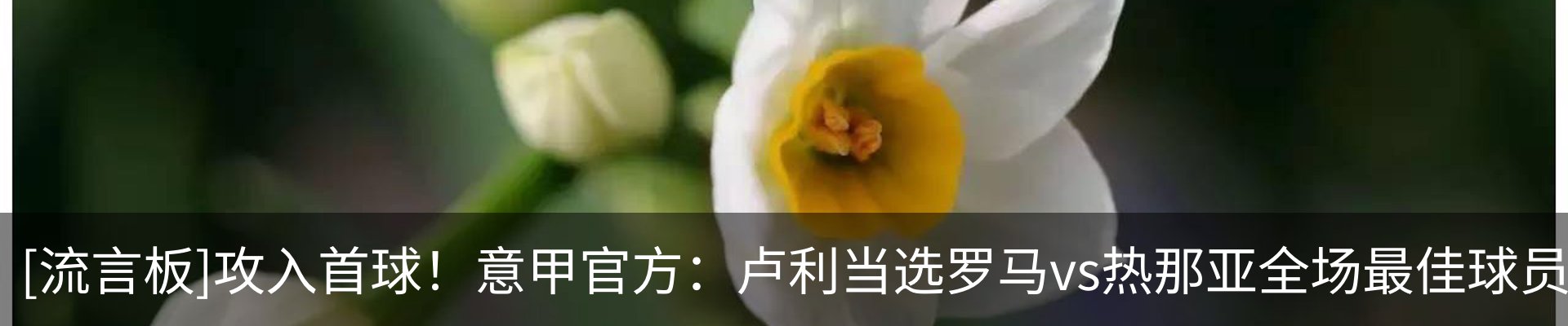 新闻中心